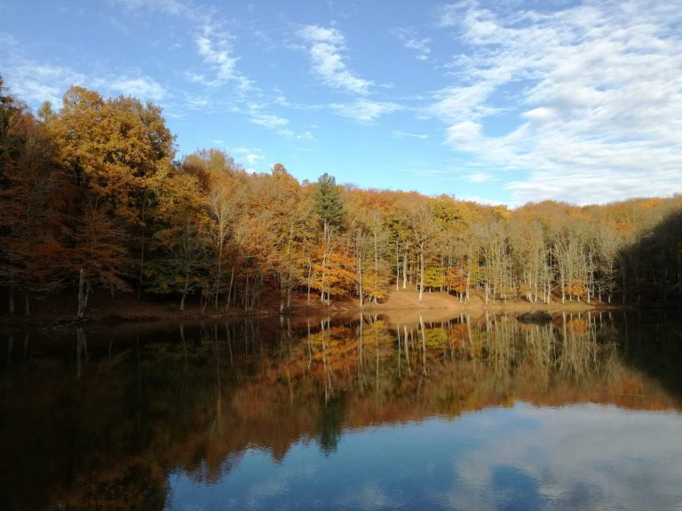 La Foresta Umbra e il Parco del Gargano
