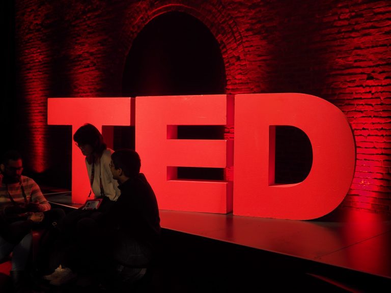TEDfest 2018 “The age of amazement”